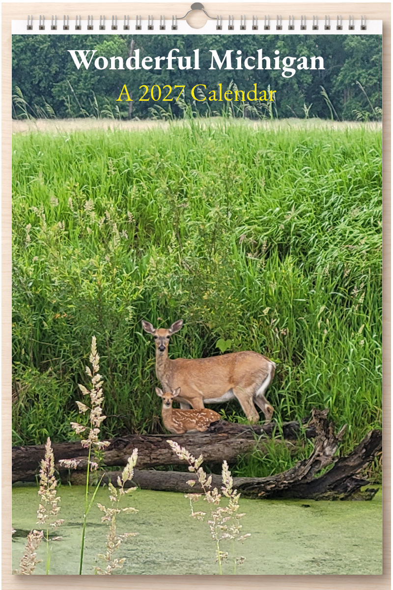 Wonderful Michigan: A 2027 Calendar