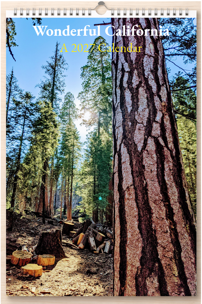 Wonderful California: A 2027 Calendar