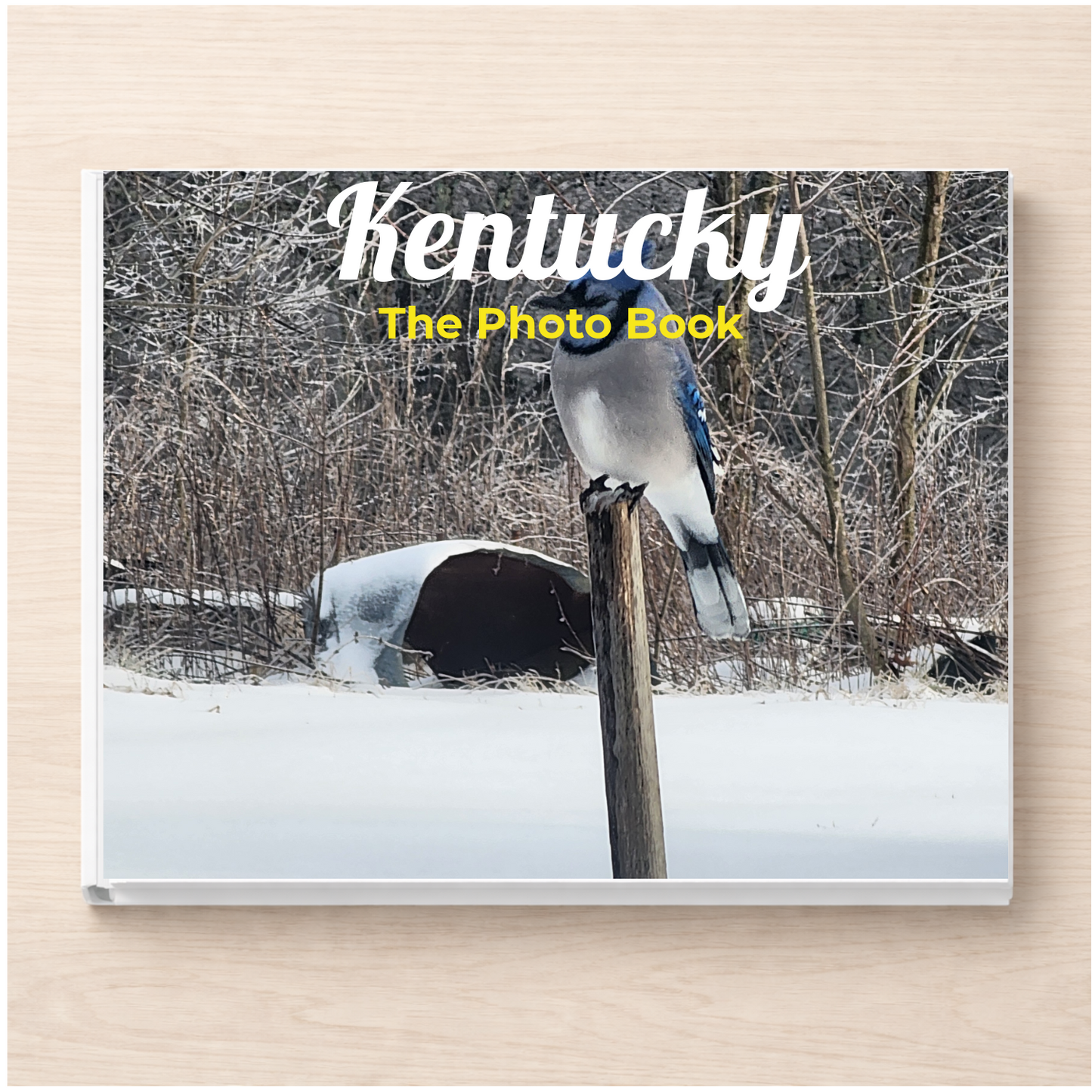 Kentucky: The Photo Book