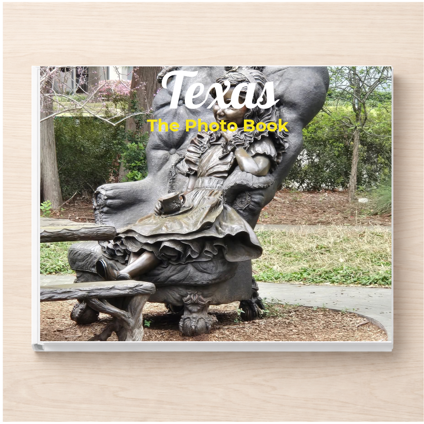 Texas: The Photo Book