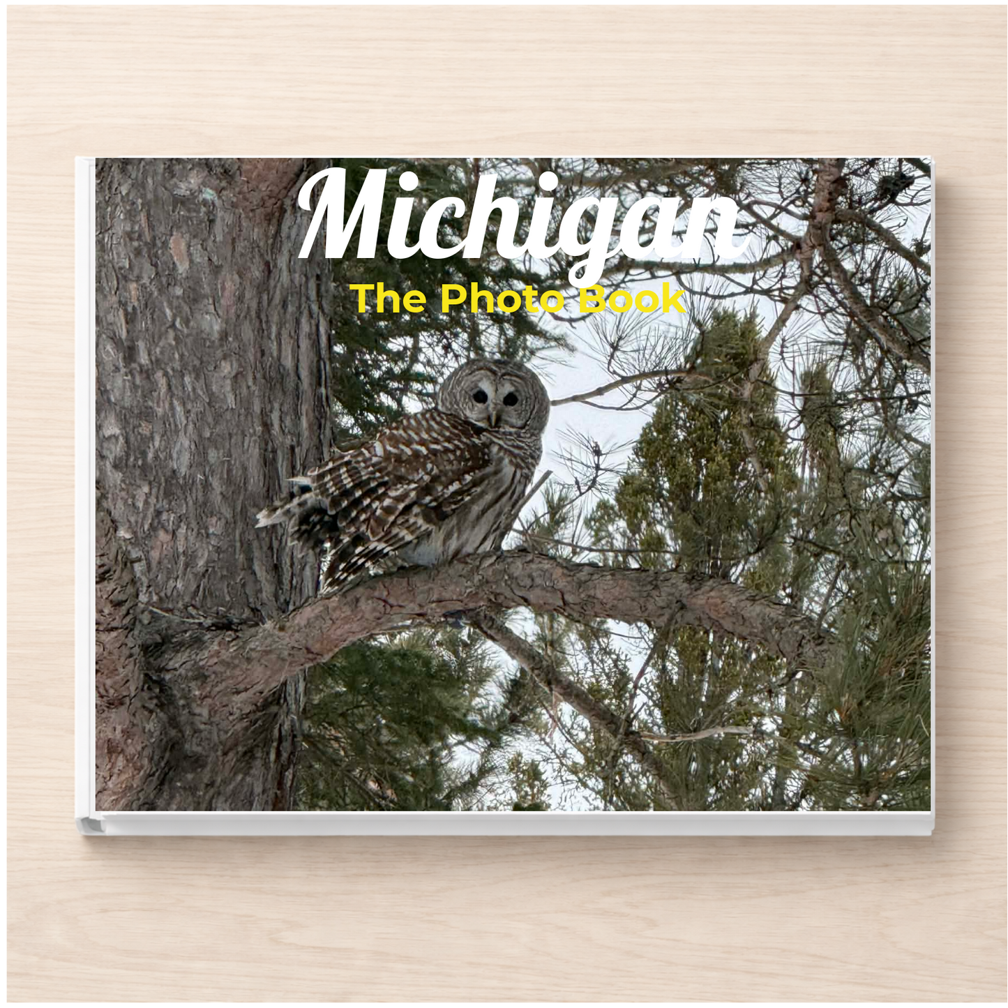 Michigan: The Photo Book