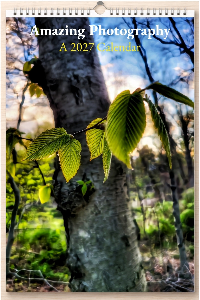 Amazing Photography: A 2027 Calendar