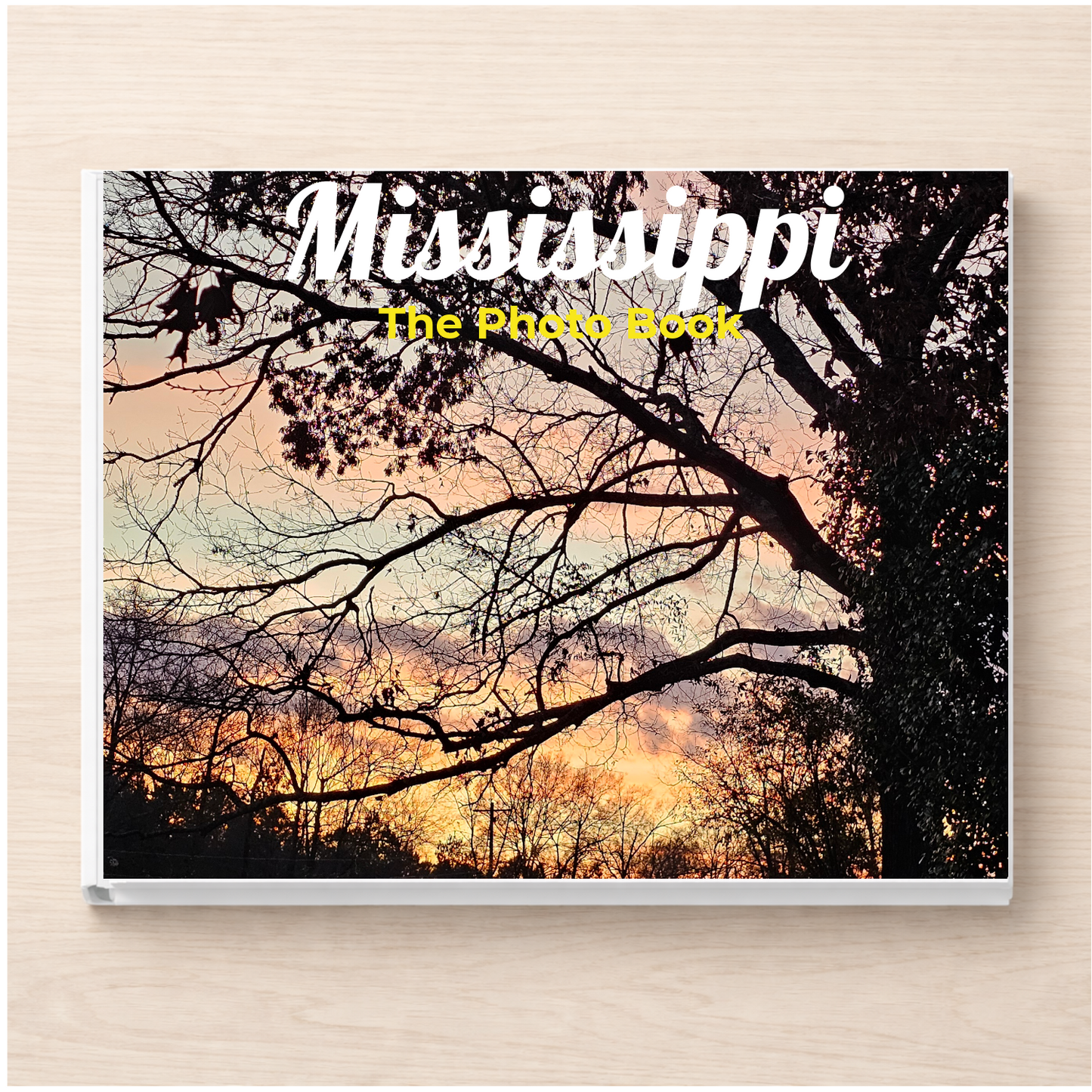 Mississippi: The Photo Book