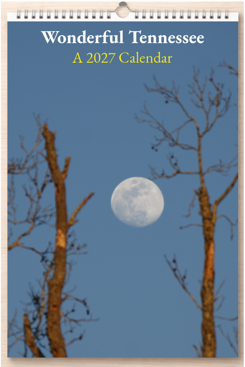 Wonderful Tennessee: A 2027 Calendar