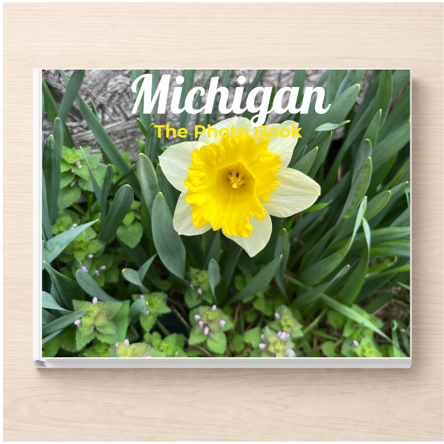 Michigan: The Photo Book