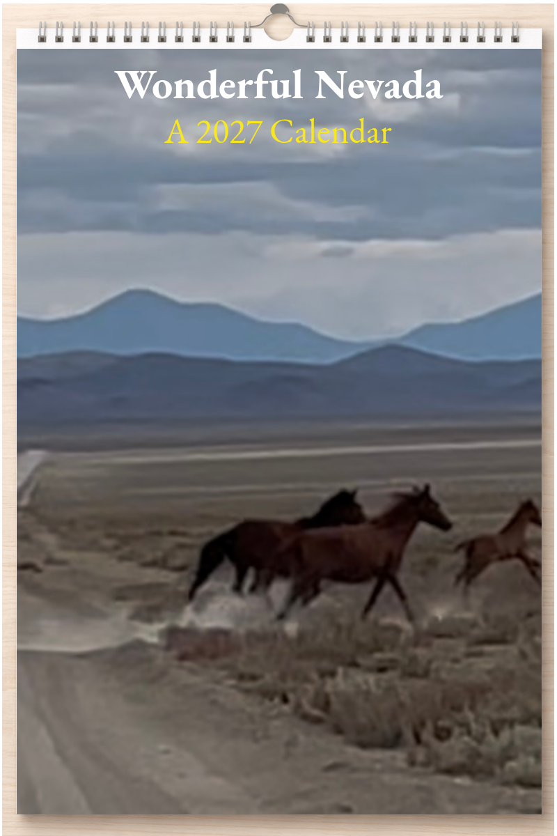 Wonderful Nevada: A 2027 Calendar