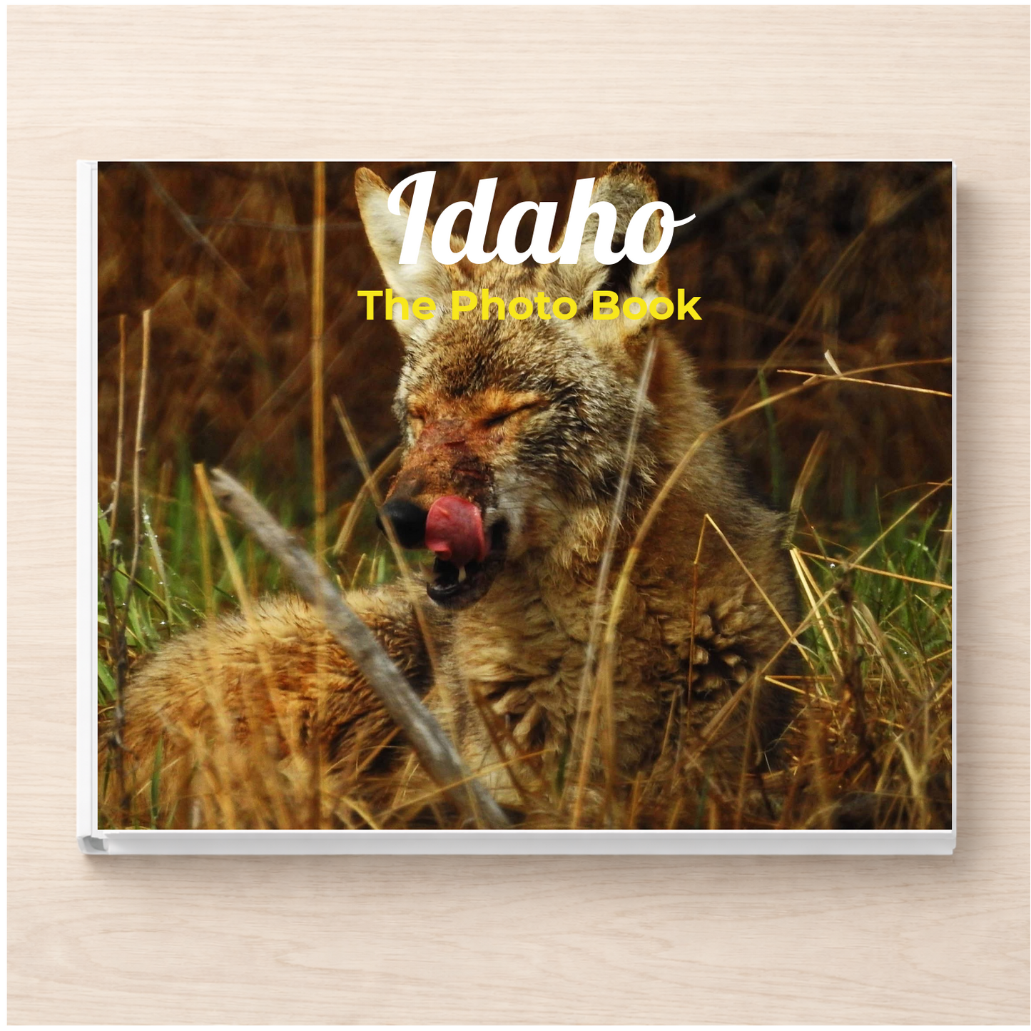 Idaho: The Photo Book