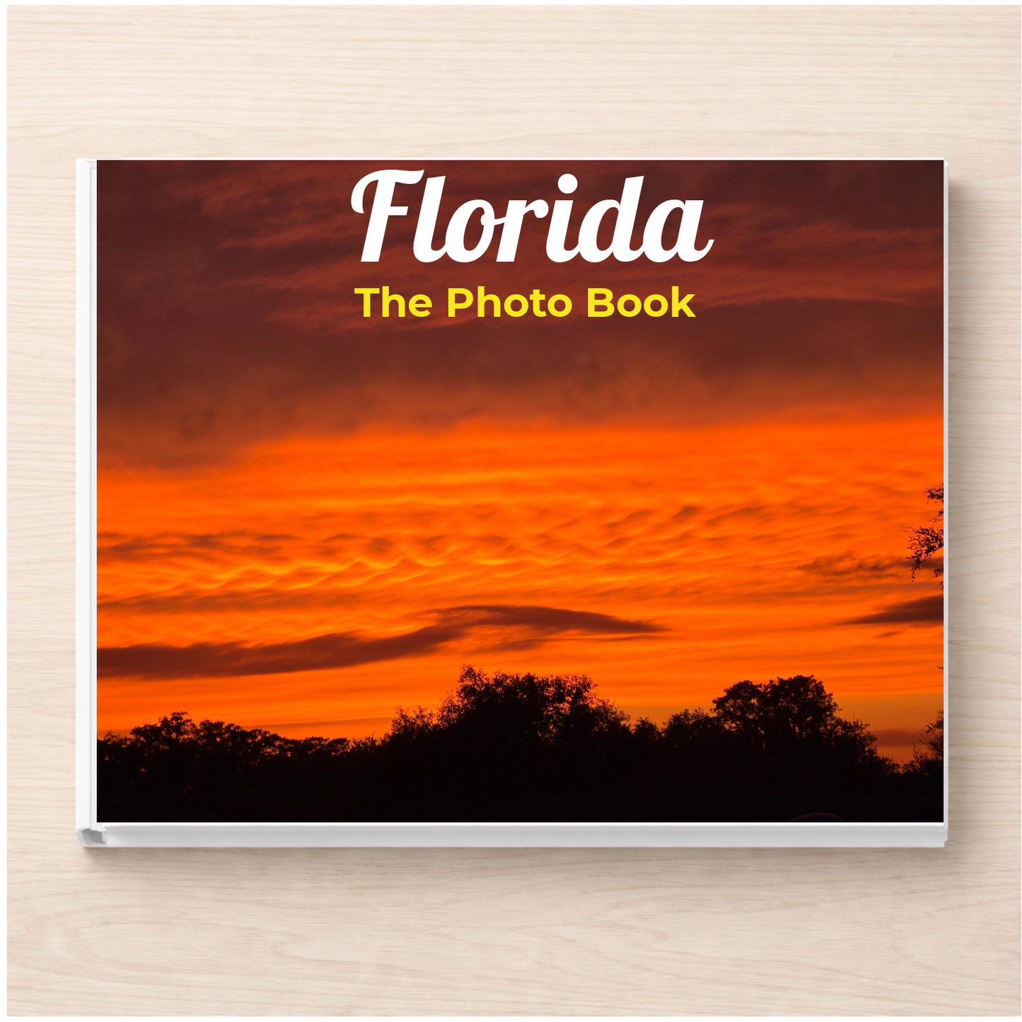 Florida: The Photo Book