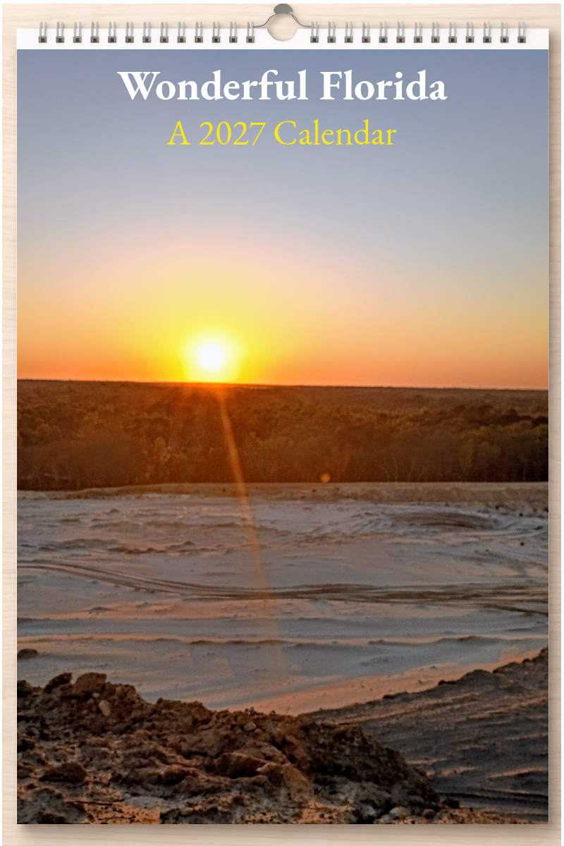 Wonderful Florida: A 2027 Calendar