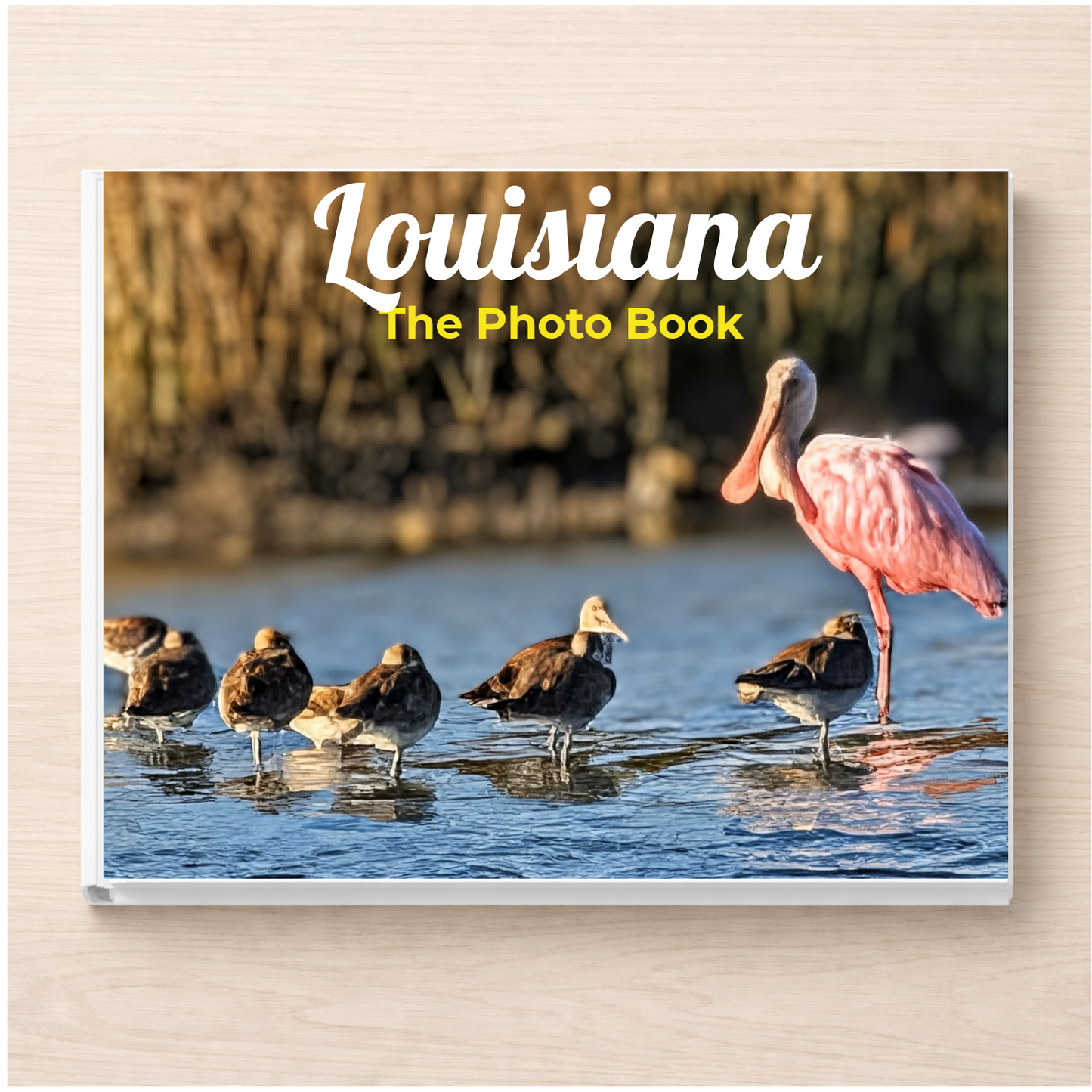Louisiana: The Photo Book
