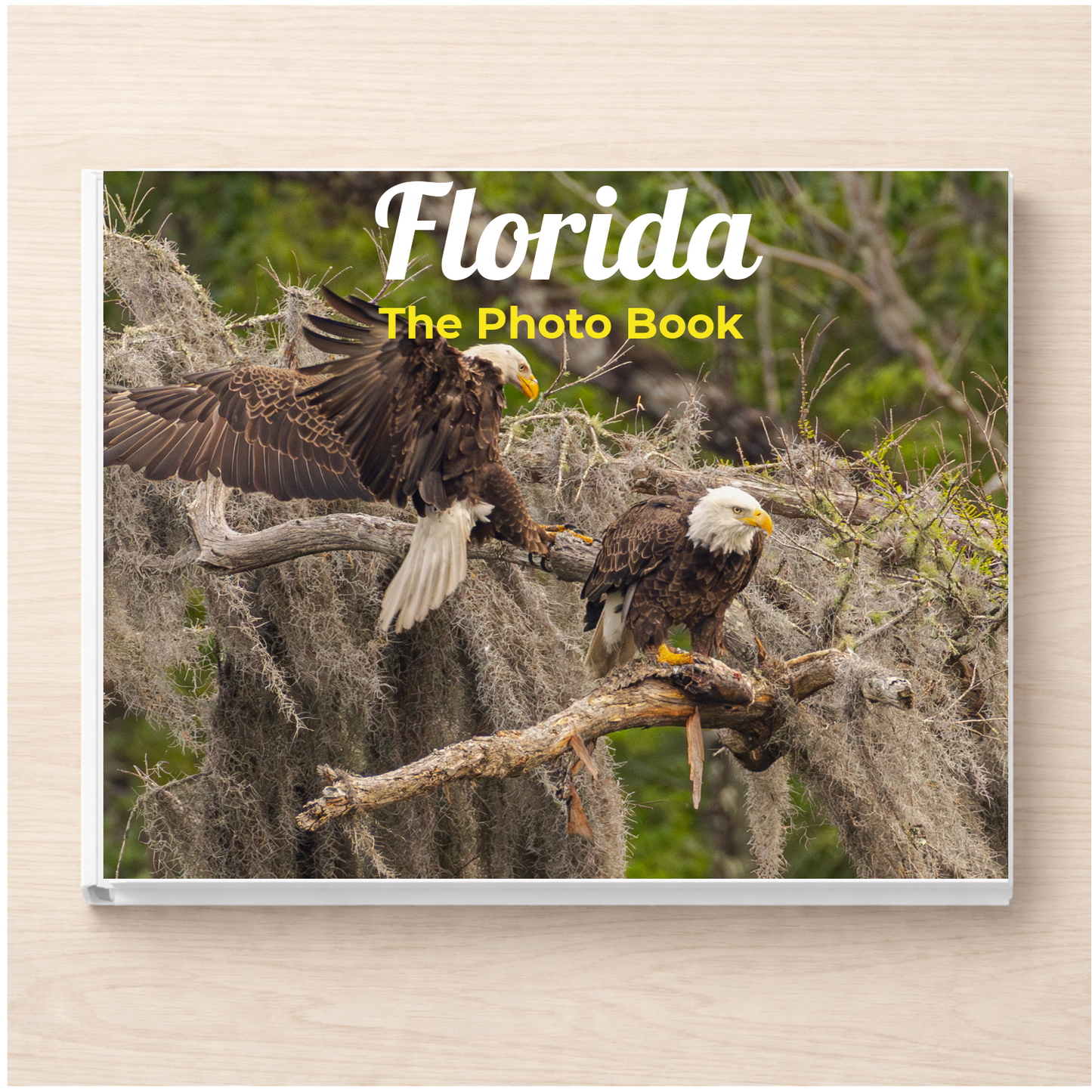 Florida: The Photo Book