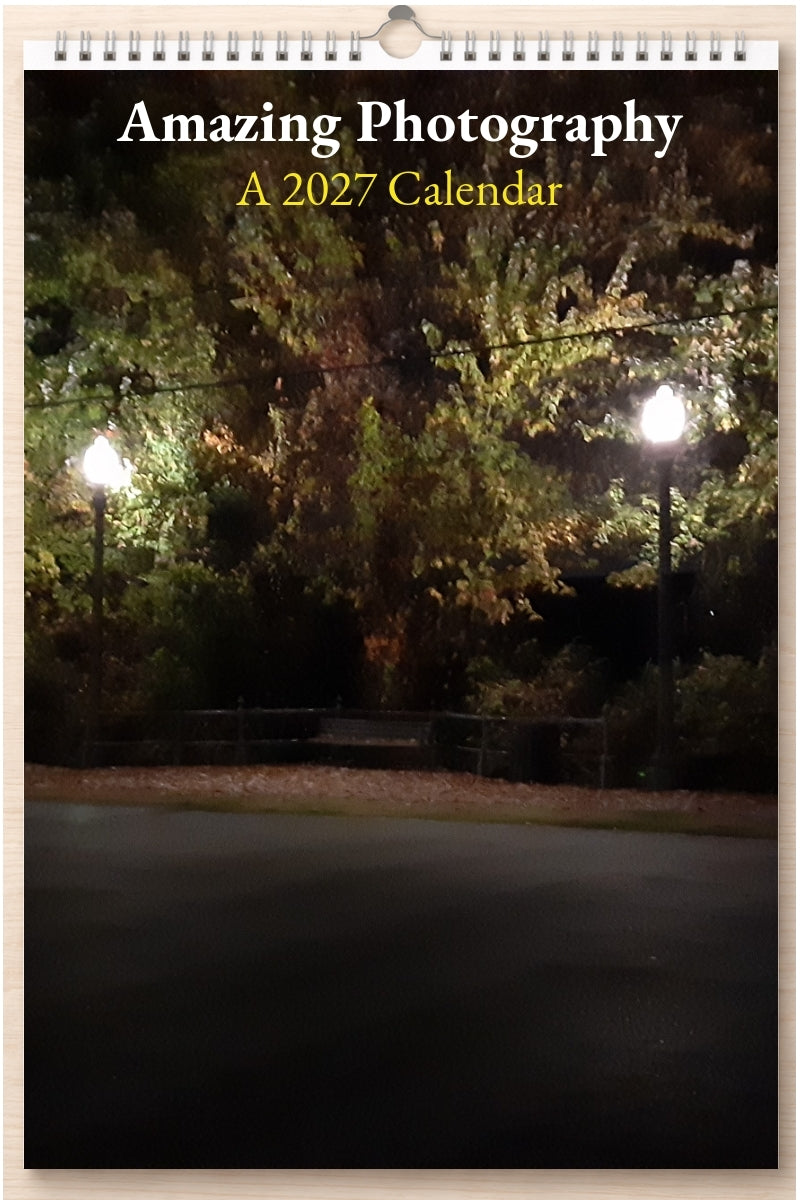 Amazing Photography: A 2027 Calendar