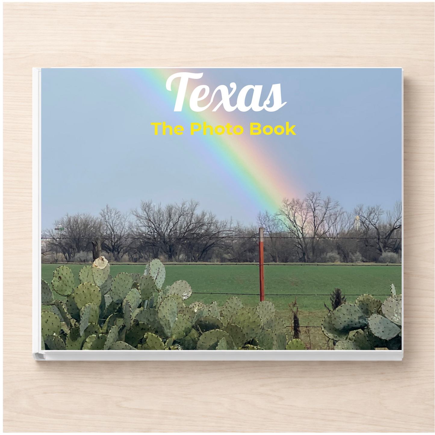 Texas: The Photo Book