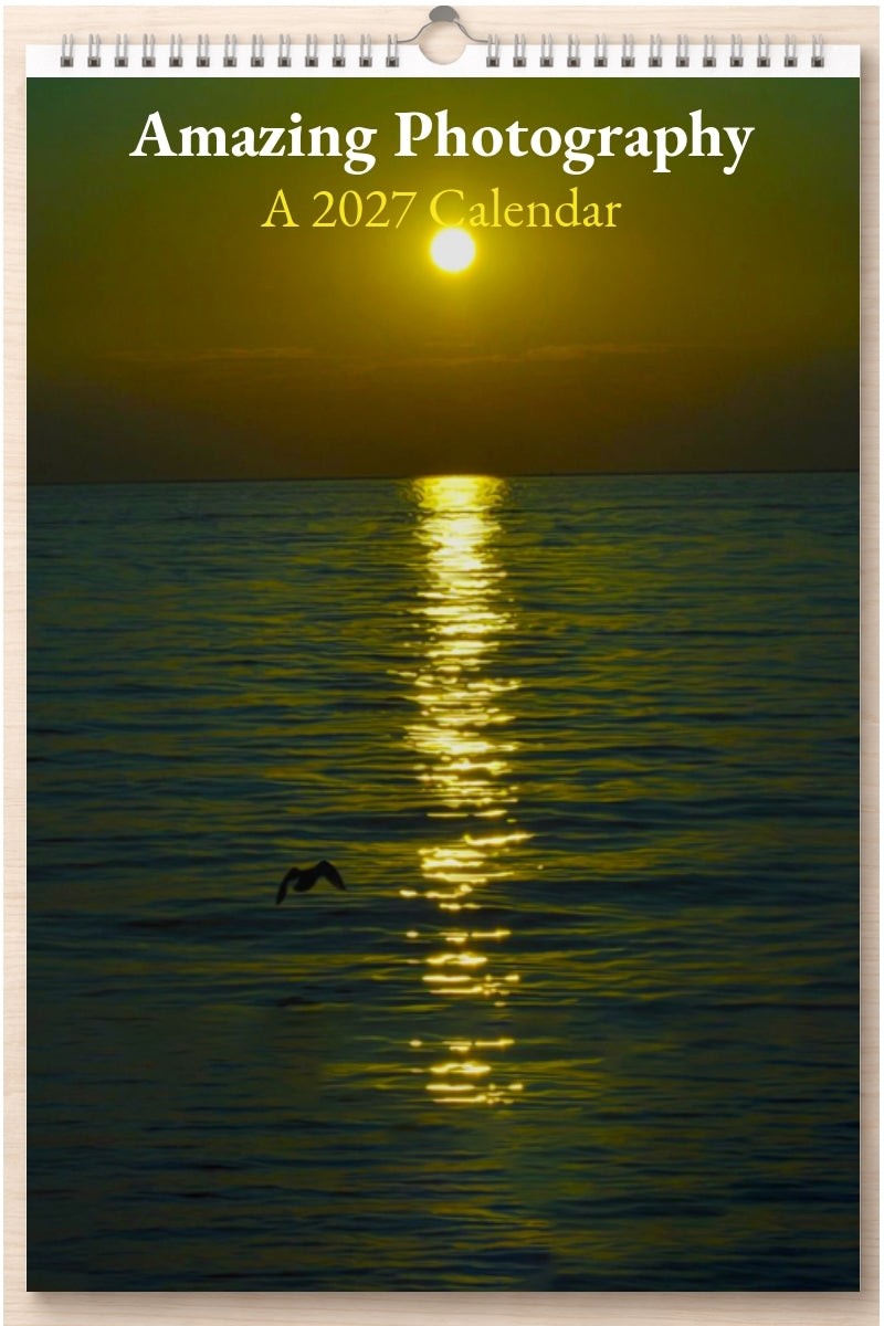Amazing Photography: A 2027 Calendar