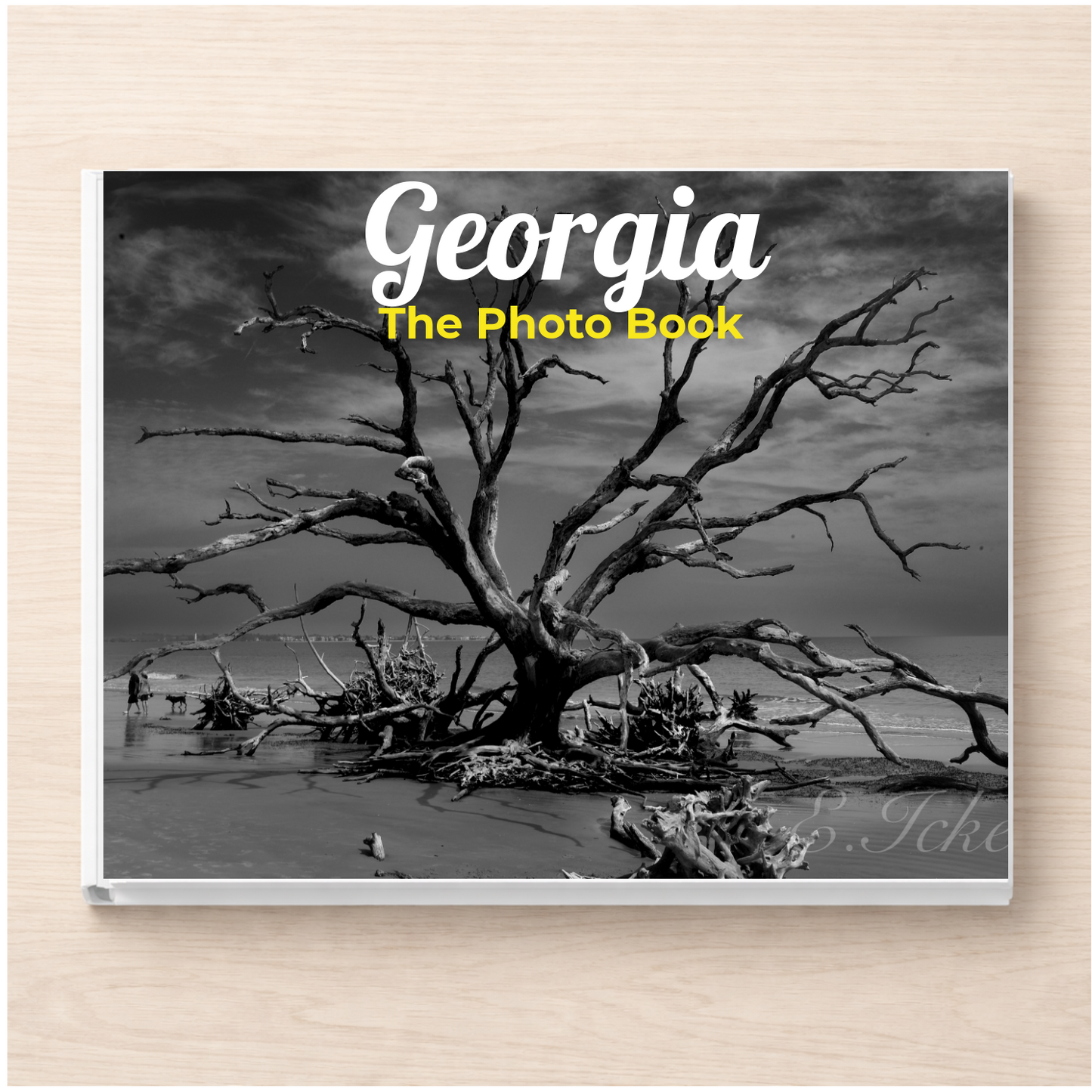 Georgia: The Photo Book
