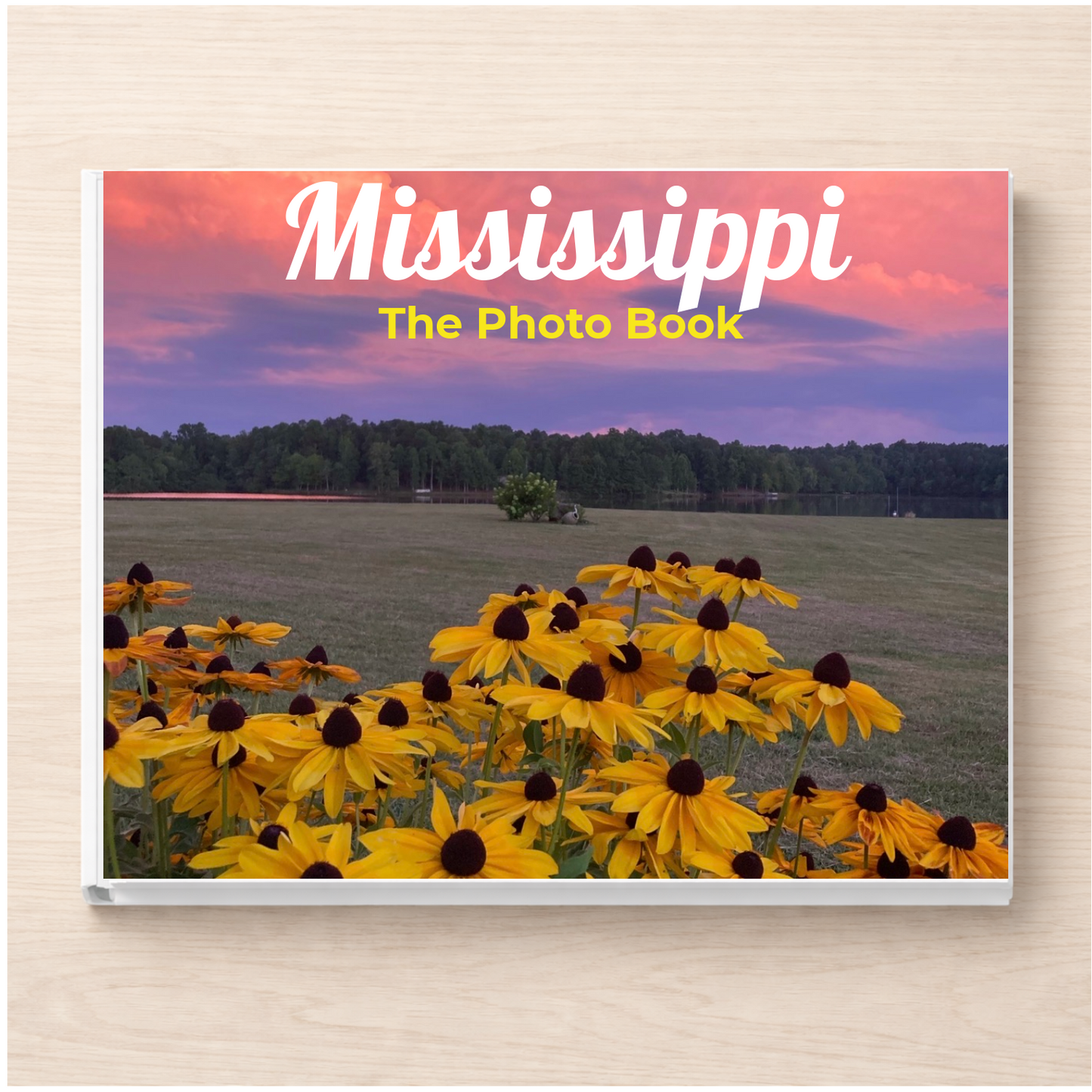 Mississippi: The Photo Book