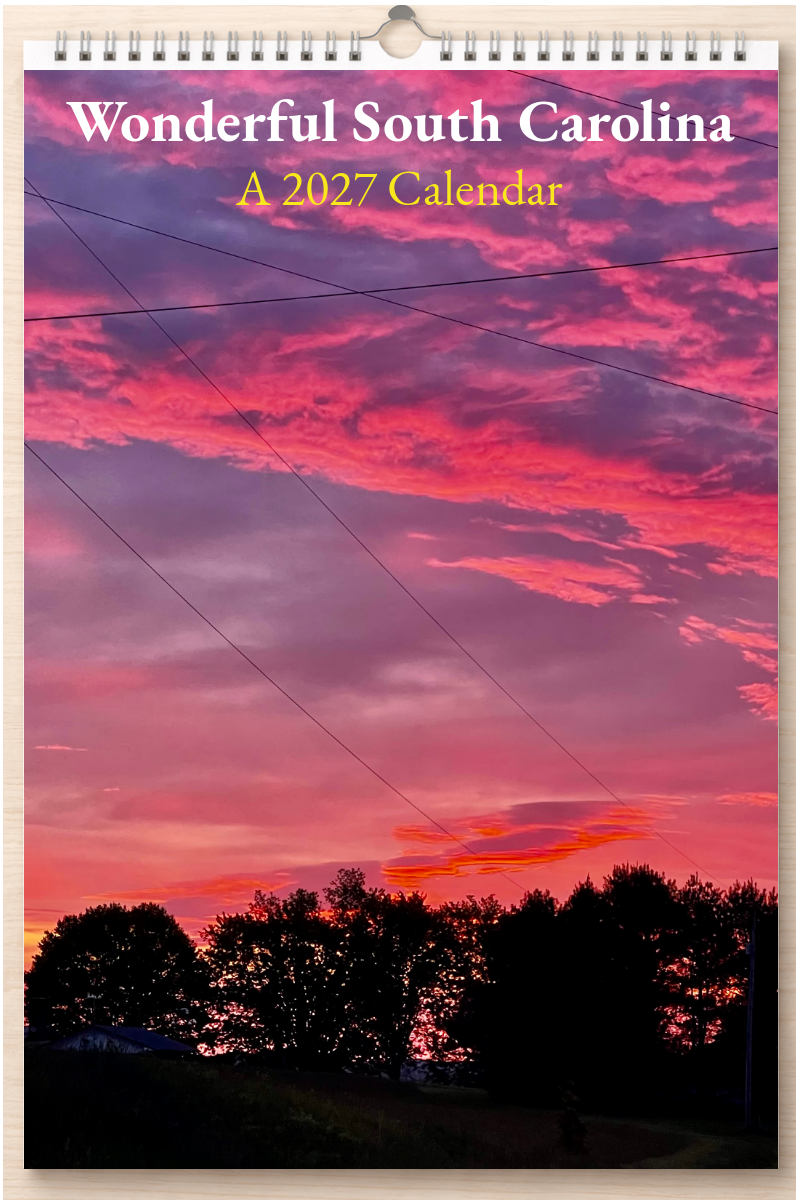 Wonderful South Carolina: A 2027 Calendar