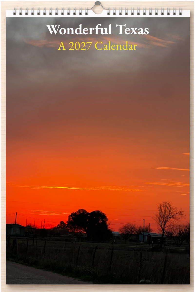 Wonderful Texas: A 2027 Calendar