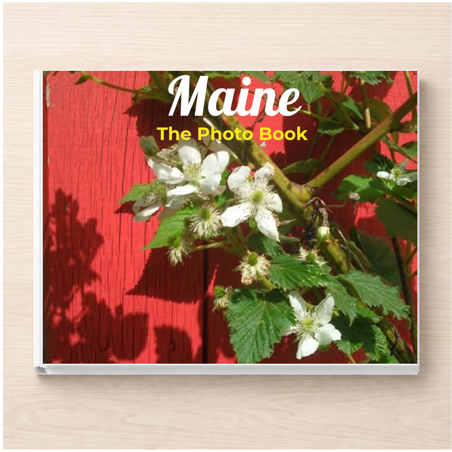 Maine: The Photo Book