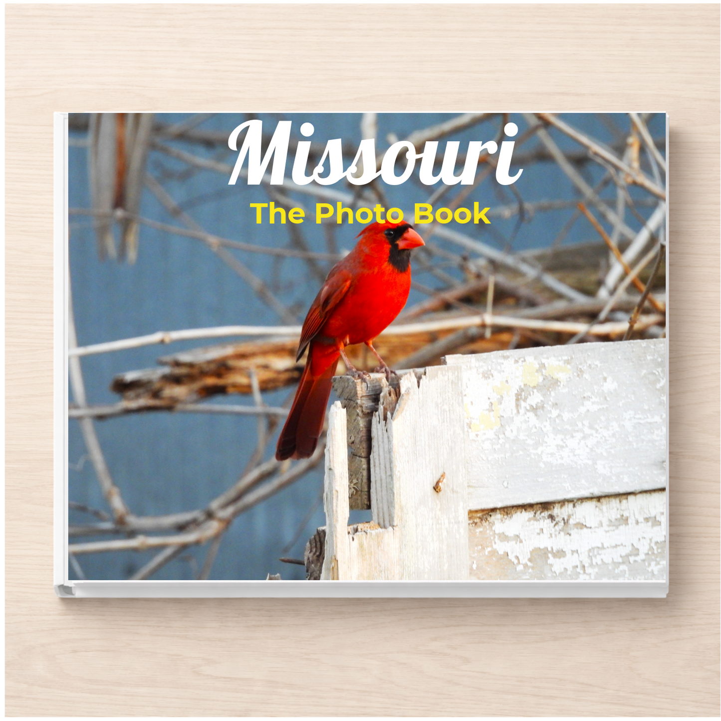 Missouri: The Photo Book