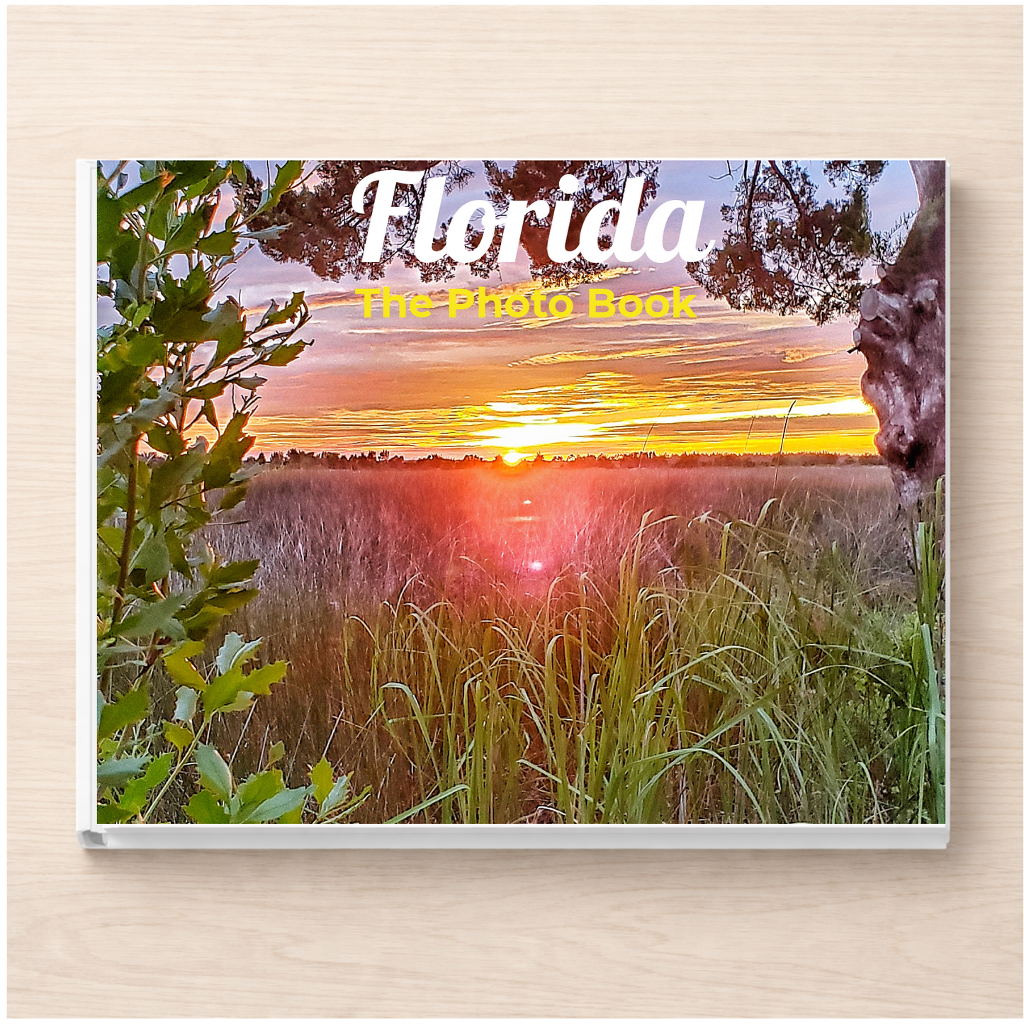 Florida: The Photo Book