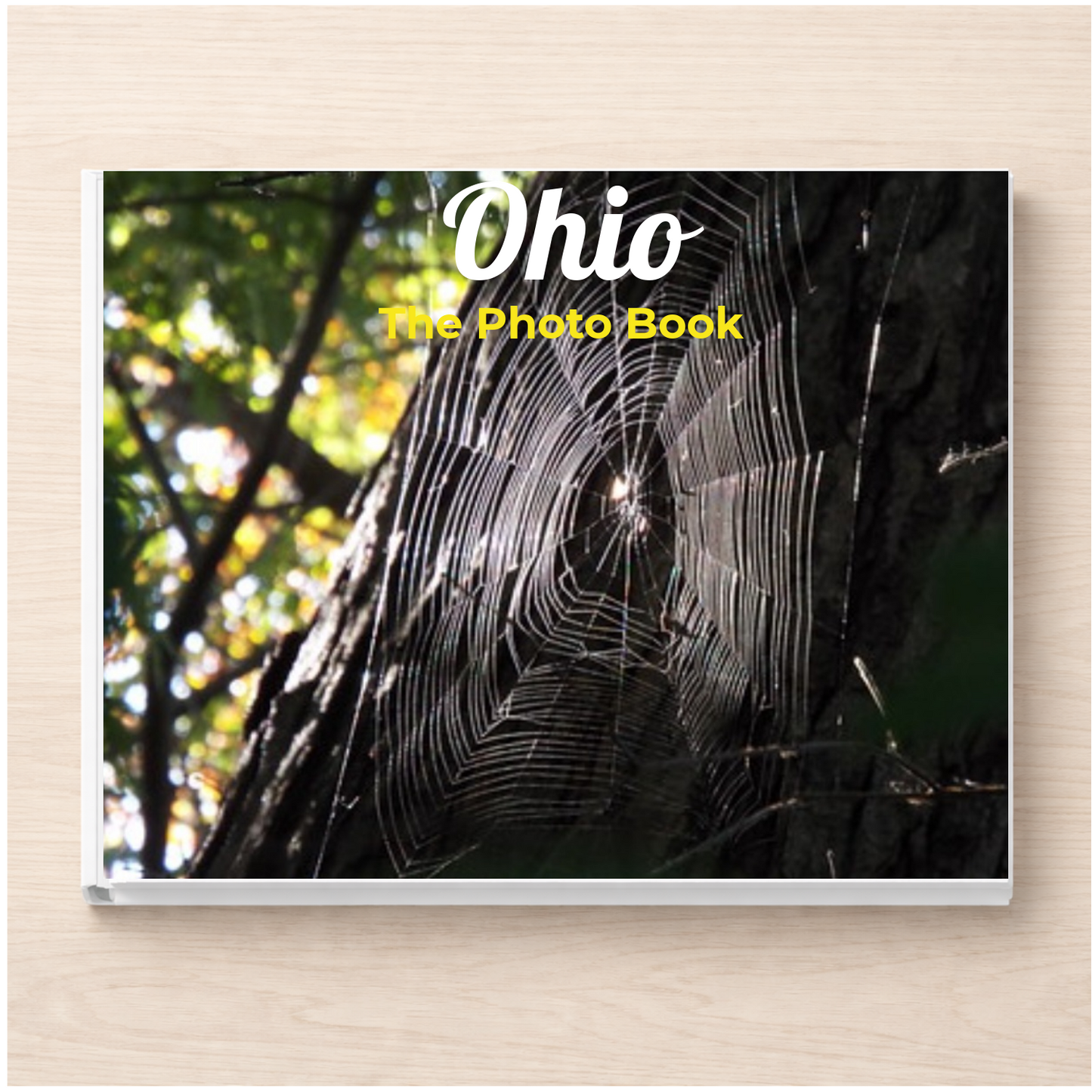 Ohio: The Photo Book