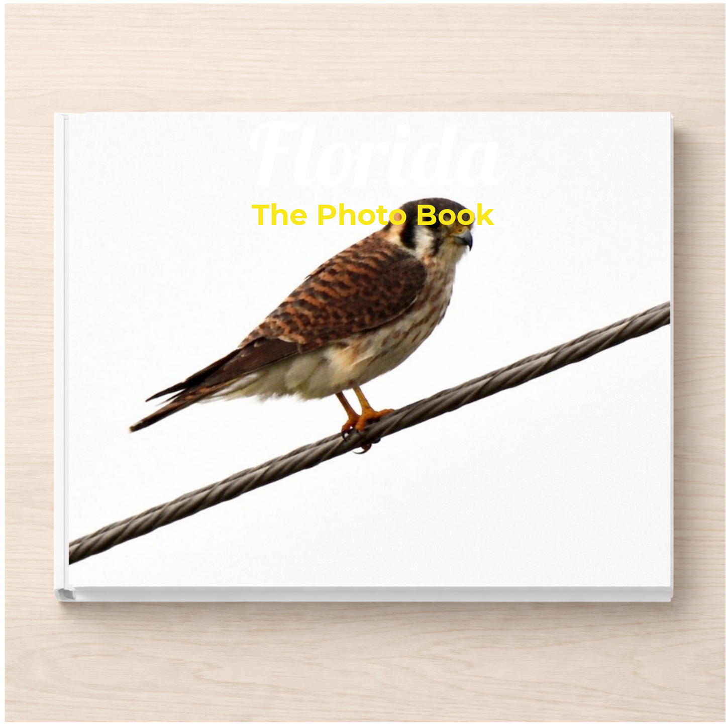 Florida: The Photo Book