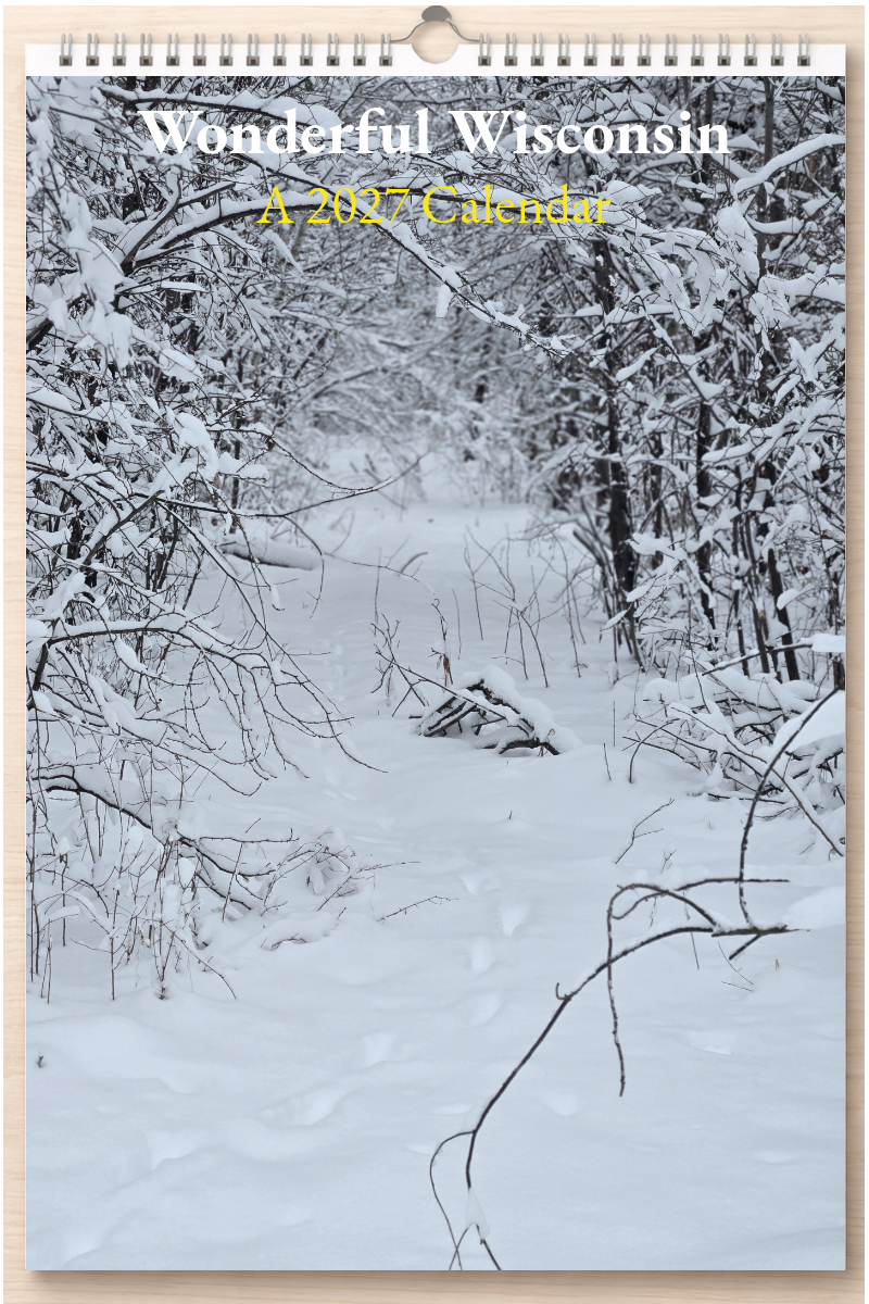 Wonderful Wisconsin: A 2027 Calendar – Silent Spark Press
