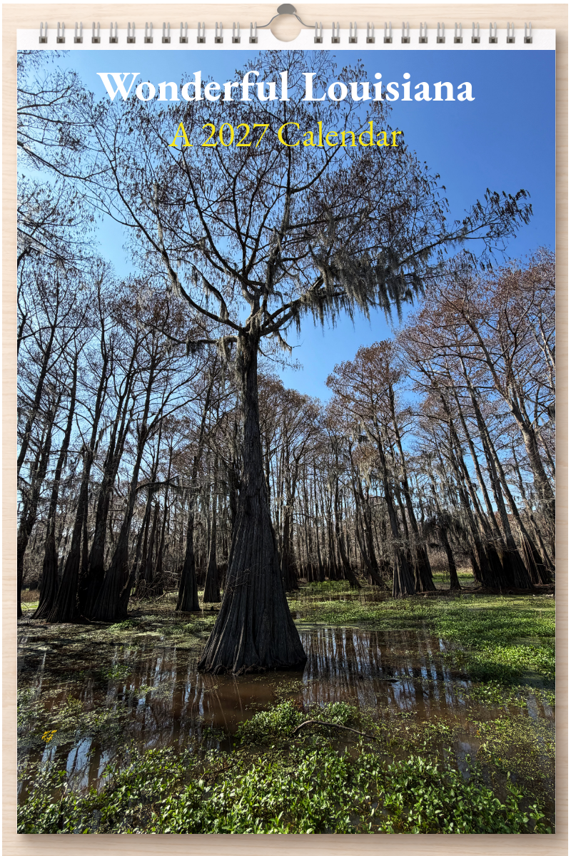 Wonderful Louisiana: A 2027 Calendar
