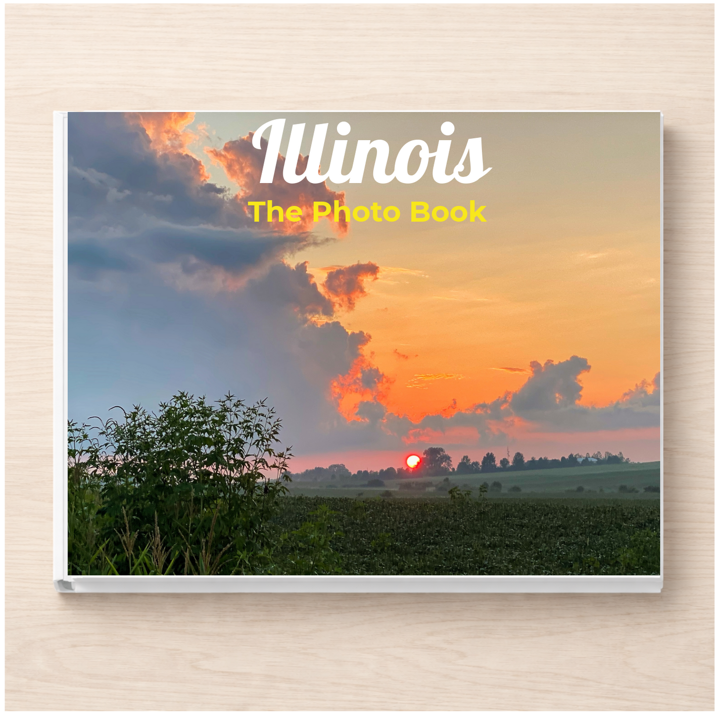 Illinois: The Photo Book