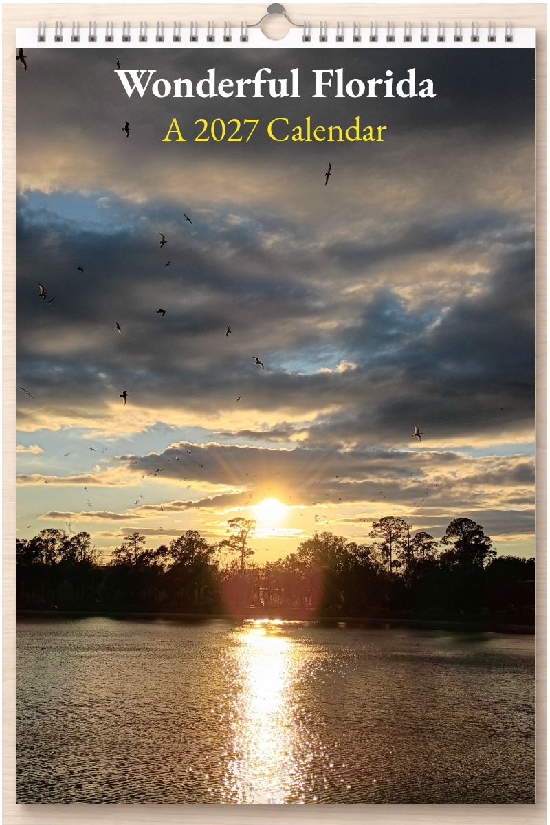 Wonderful Florida: A 2027 Calendar