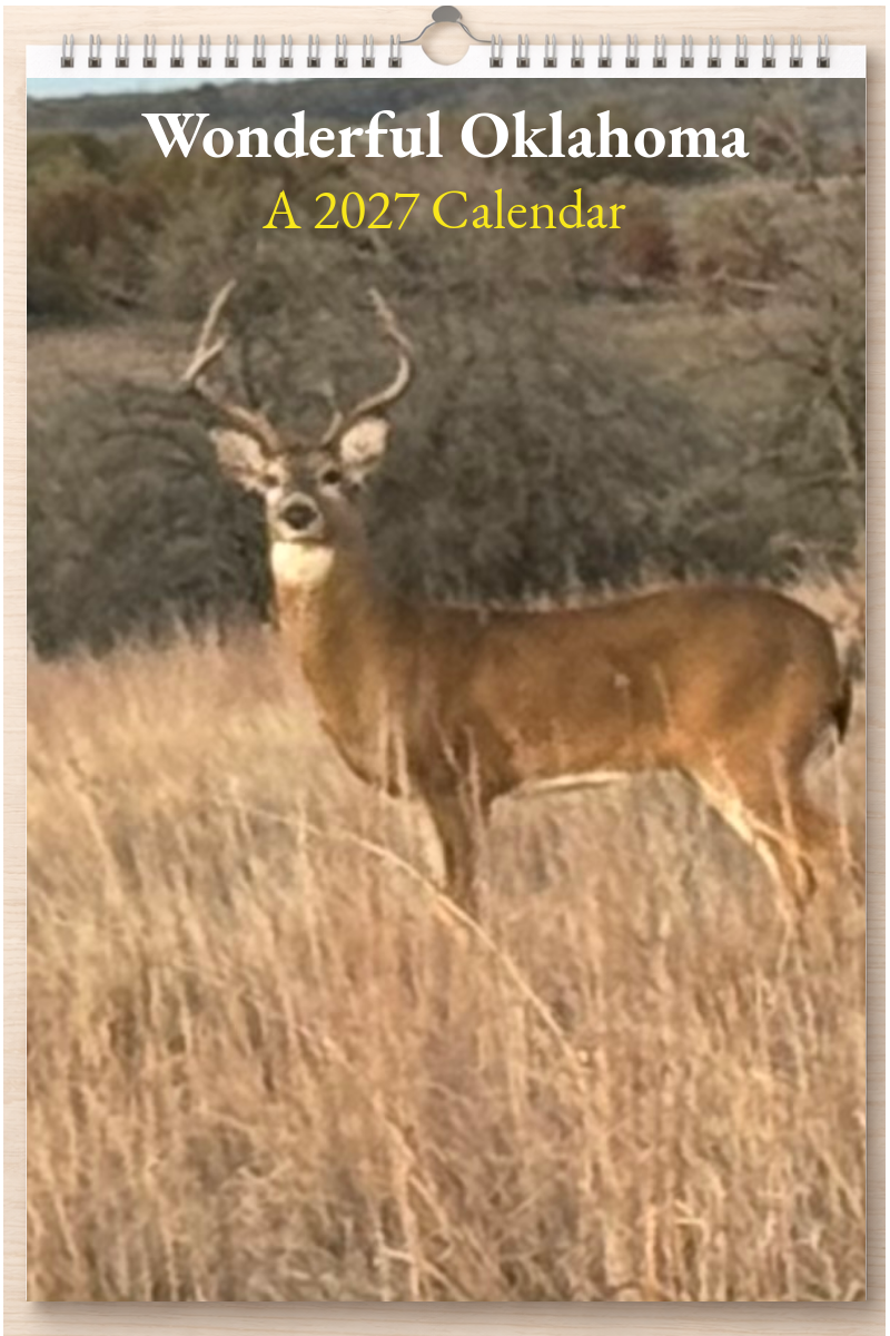 Wonderful Oklahoma: A 2027 Calendar
