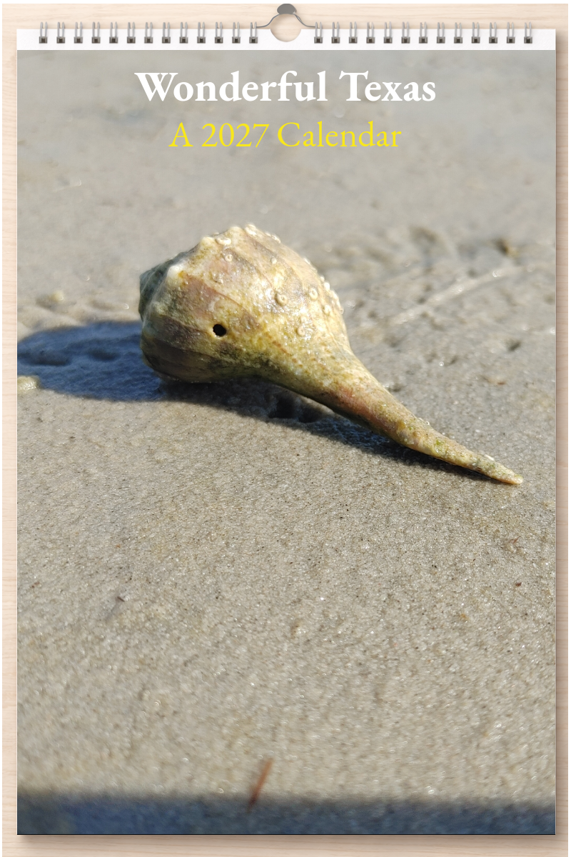 Wonderful Texas: A 2027 Calendar