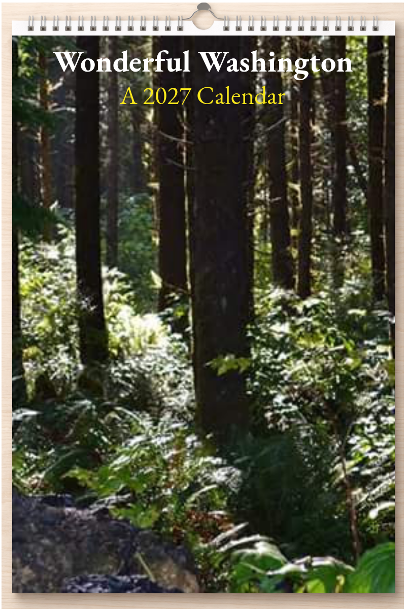 Wonderful Washington: A 2027 Calendar