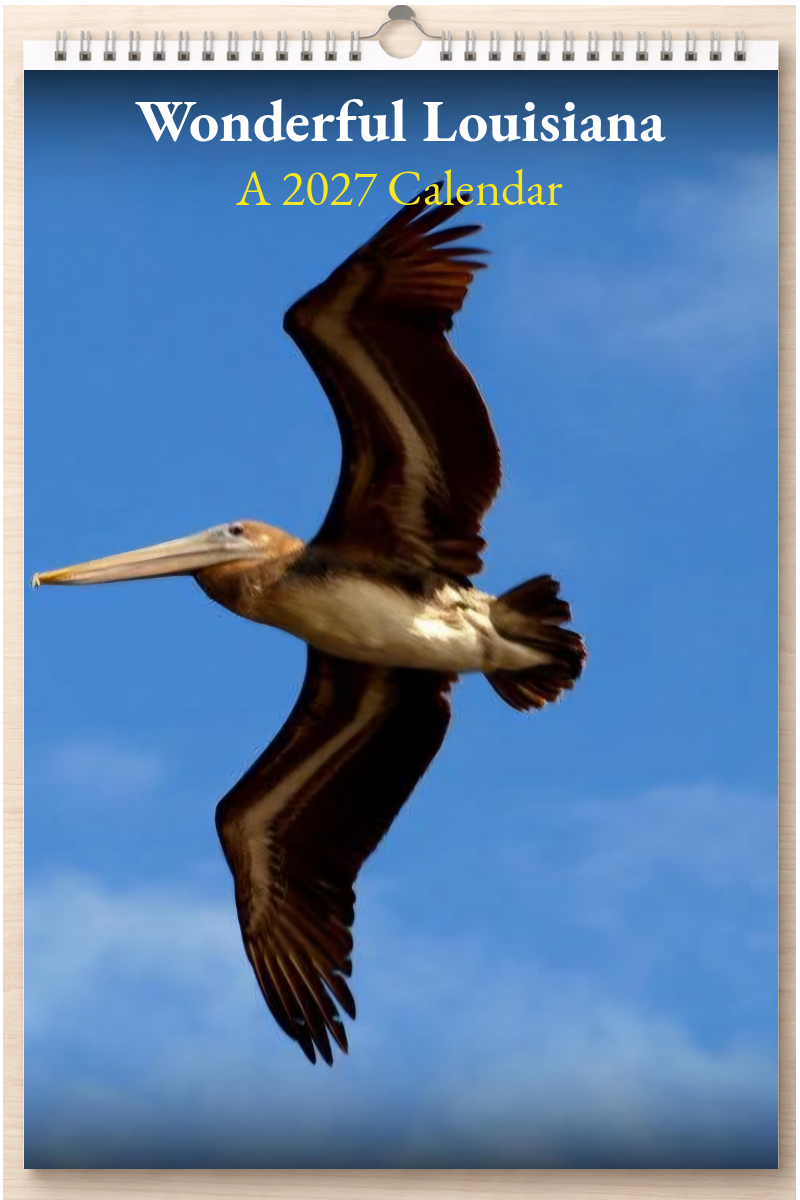 Wonderful Louisiana: A 2027 Calendar