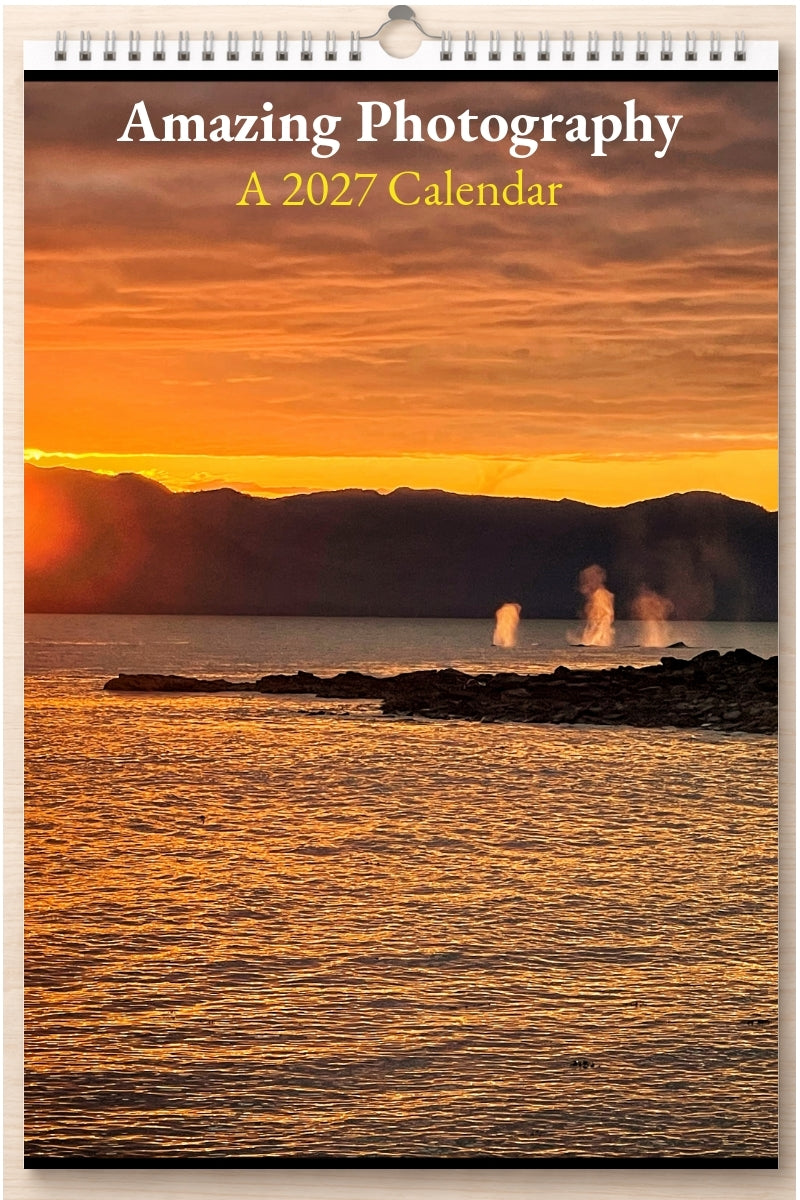 Amazing Photography: A 2027 Calendar