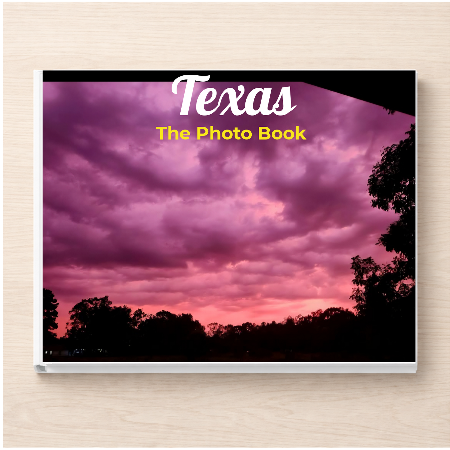 Texas: The Photo Book