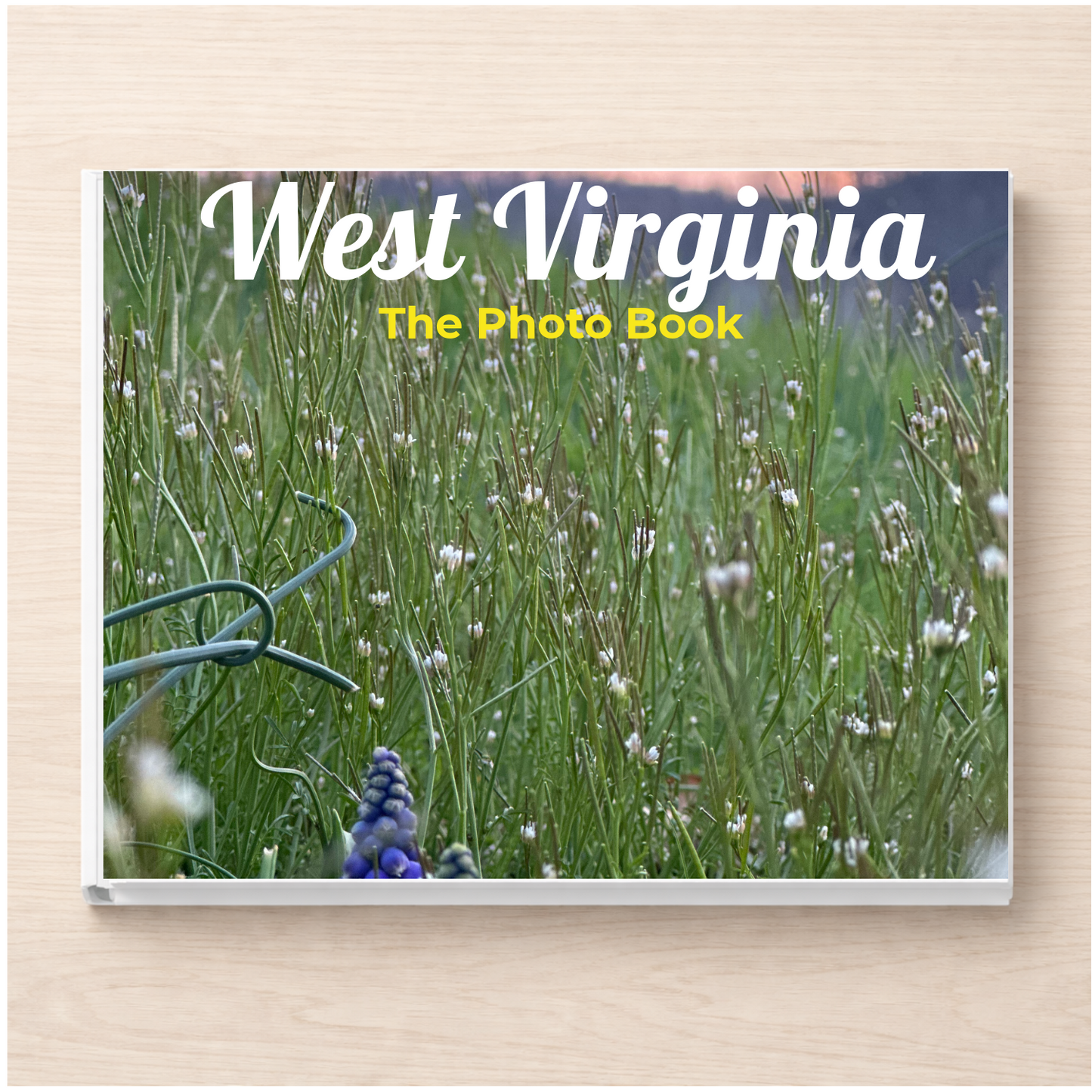 West Virginia: The Photo Book