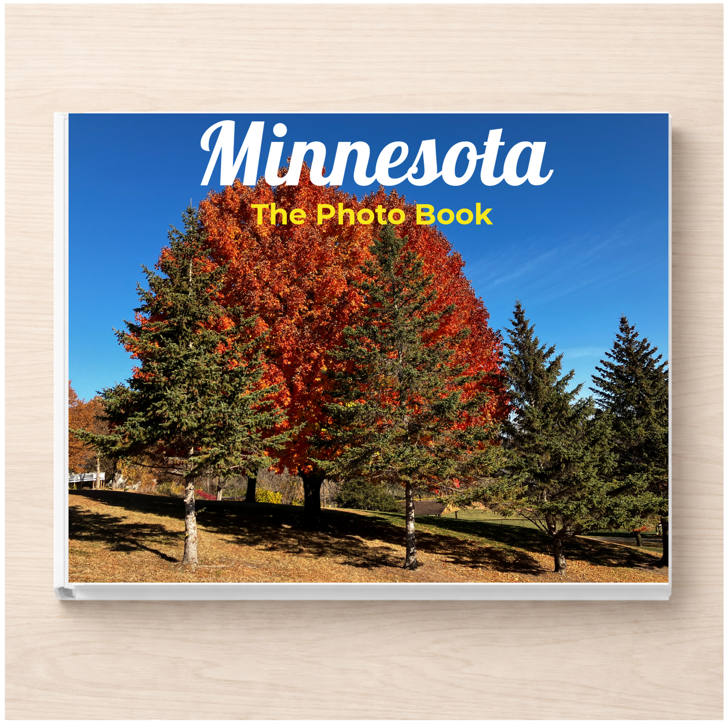 Minnesota: The Photo Book