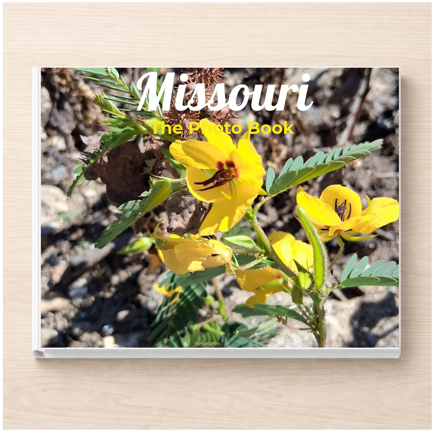 Missouri: The Photo Book