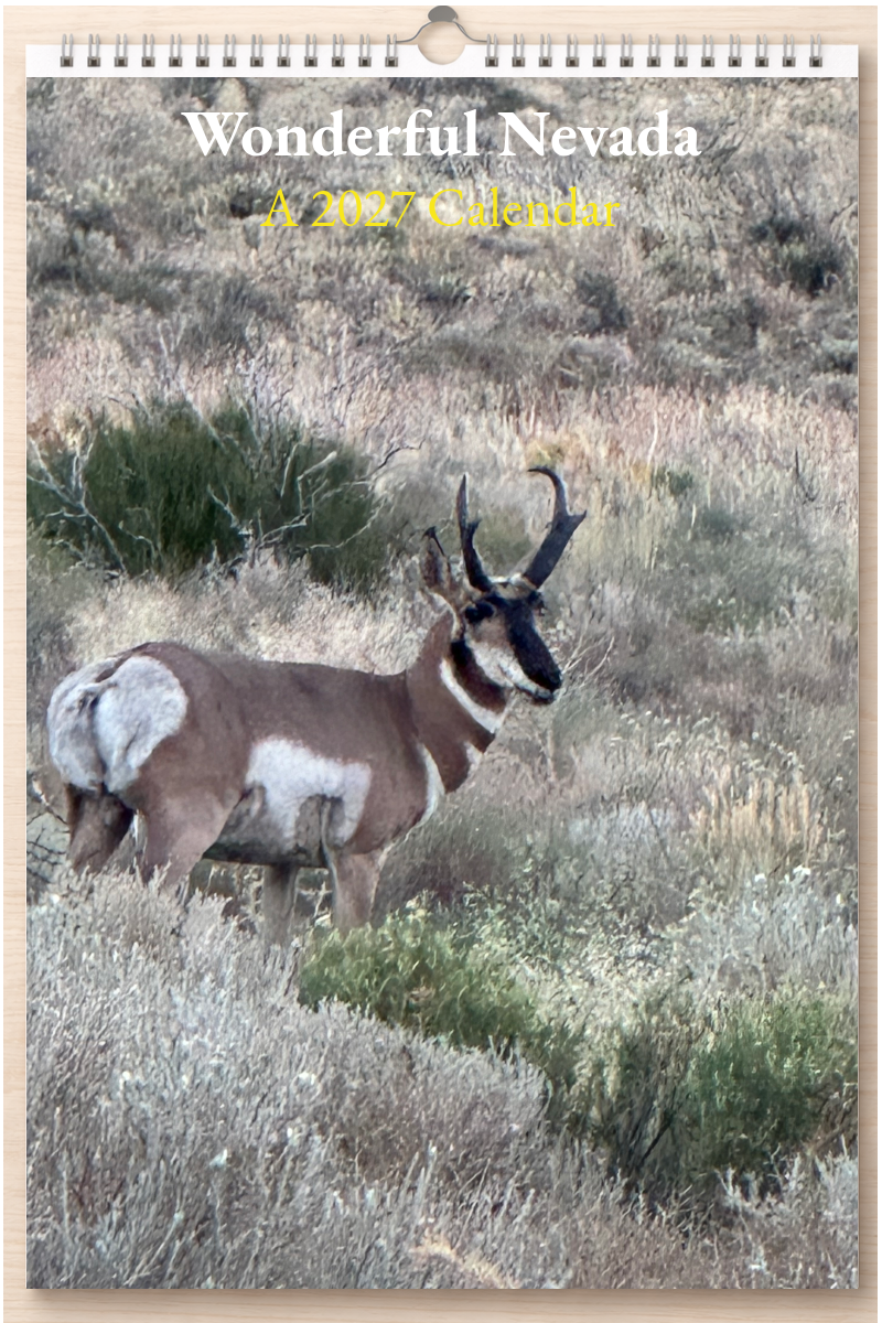 Wonderful Nevada: A 2027 Calendar