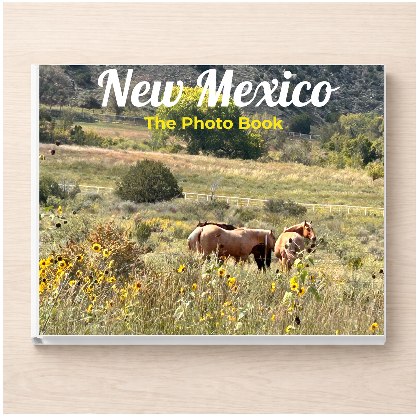 New Mexico: The Photo Book