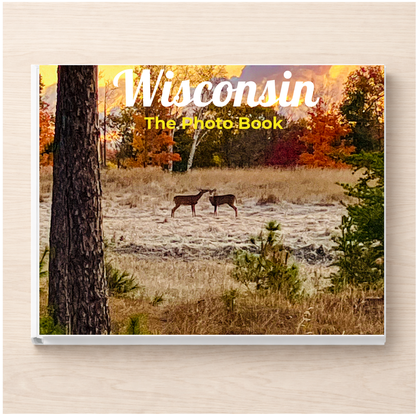 Wisconsin: The Photo Book