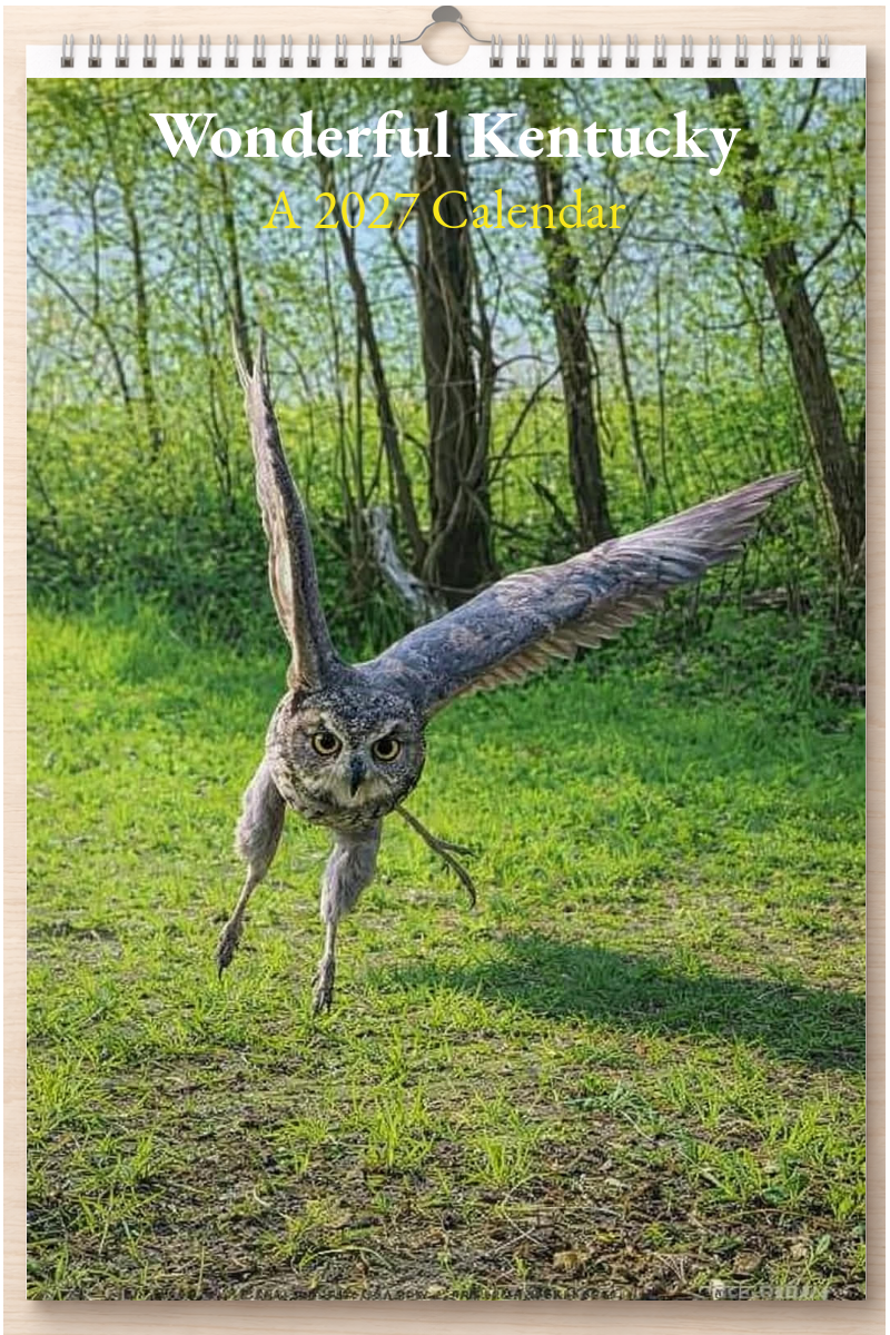 Wonderful Kentucky: A 2027 Calendar