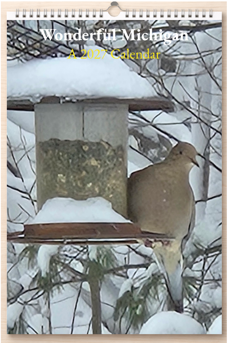 Wonderful Michigan: A 2027 Calendar