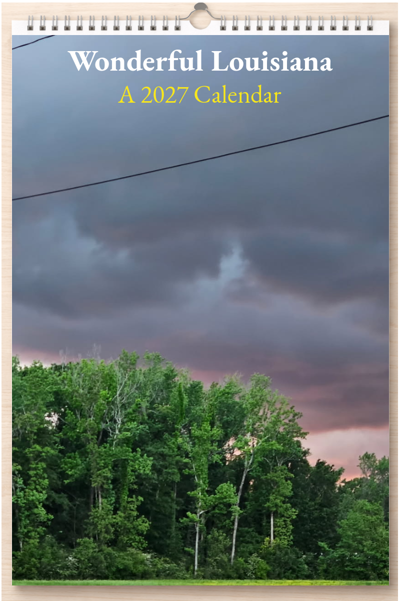 Wonderful Louisiana: A 2027 Calendar