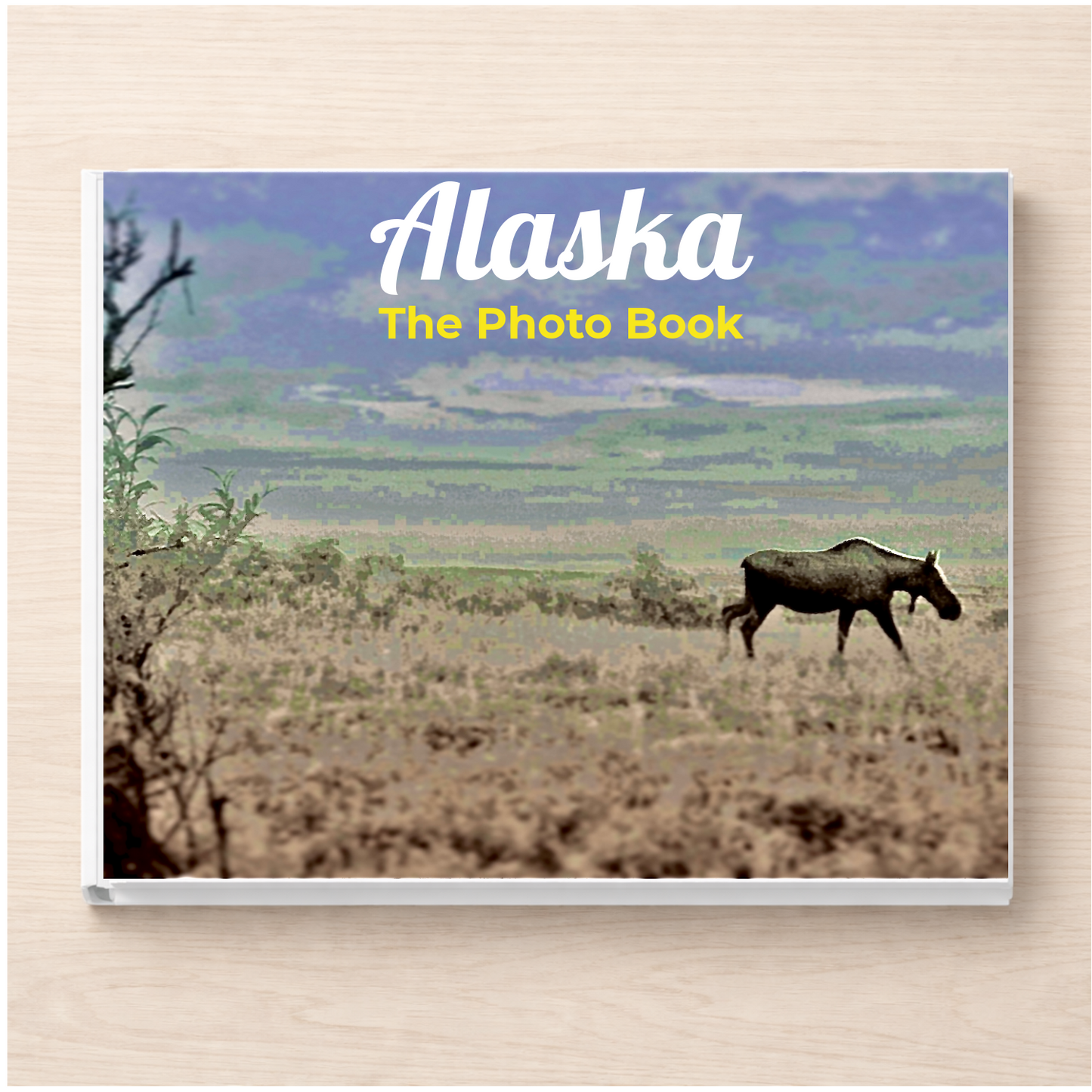 Alaska: The Photo Book