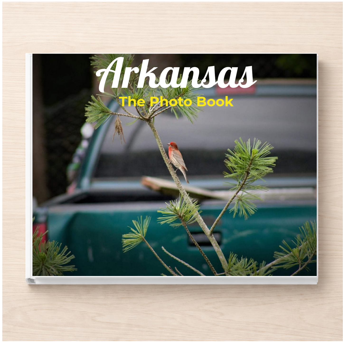 Arkansas: The Photo Book