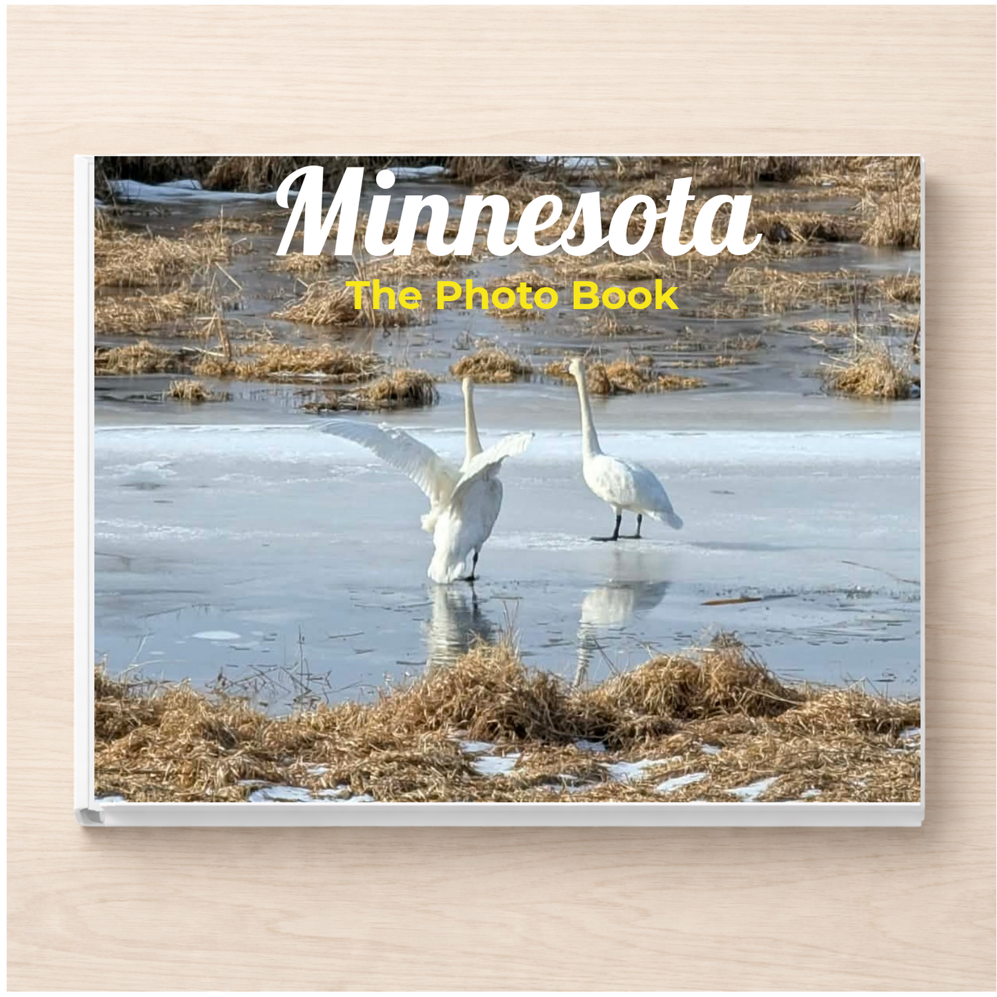 Minnesota: The Photo Book