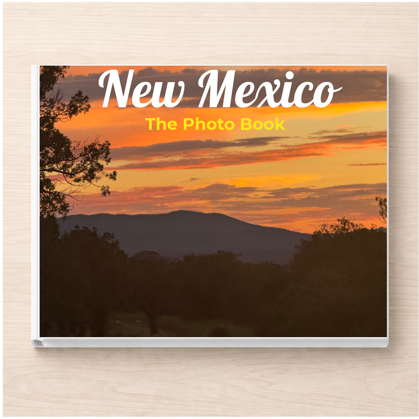 New Mexico: The Photo Book